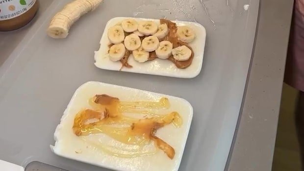 Watch: Vlogger Makes No-Bread Sandwich Out Of Frozen Milk Slices, Internet Is Intrigued