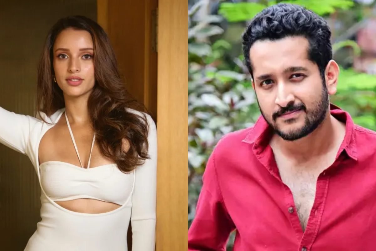 Triptii Dimri Has Miles To Go... National Crushes Temporary, Says Bulbbul Co-Star Parambrata Chatterjee