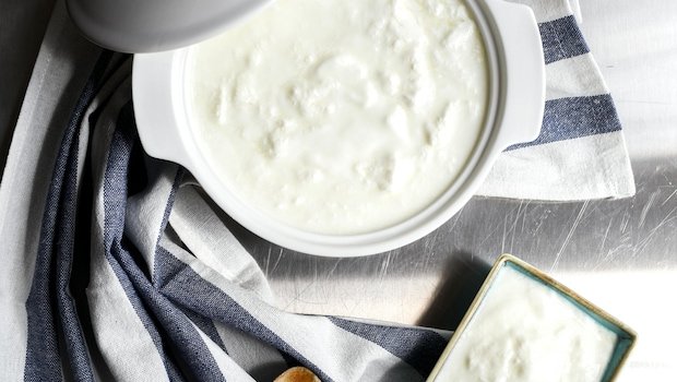 How To Keep Curd Fresh And Creamy In Summer: 6 Proven Tips For Storing