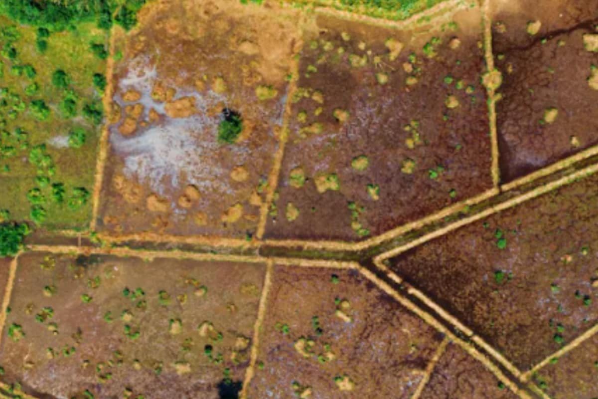 Own A Vacant Plot In Noida? Build Something Soon Or The Govt Will Take It Back