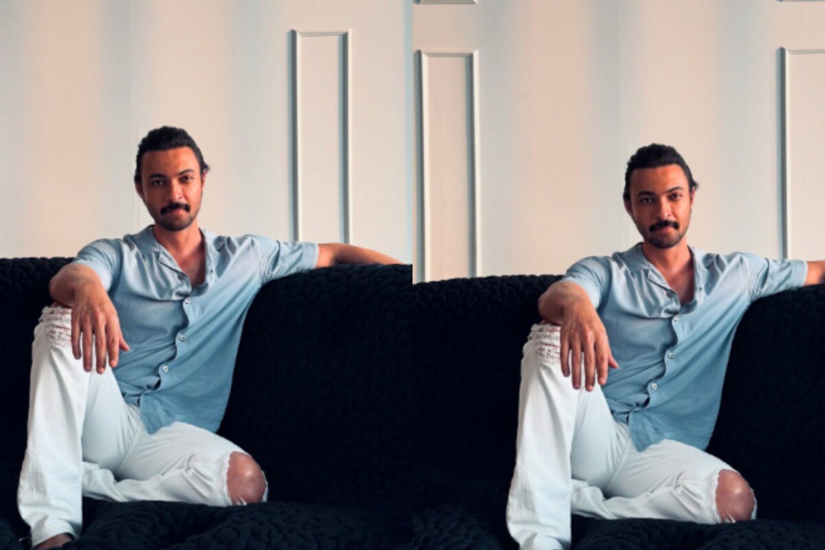 Salman Khans Brother-In-Law Aayush Had A Heart Attack After Learning His Cooks Salary: Ordering Is Cheaper